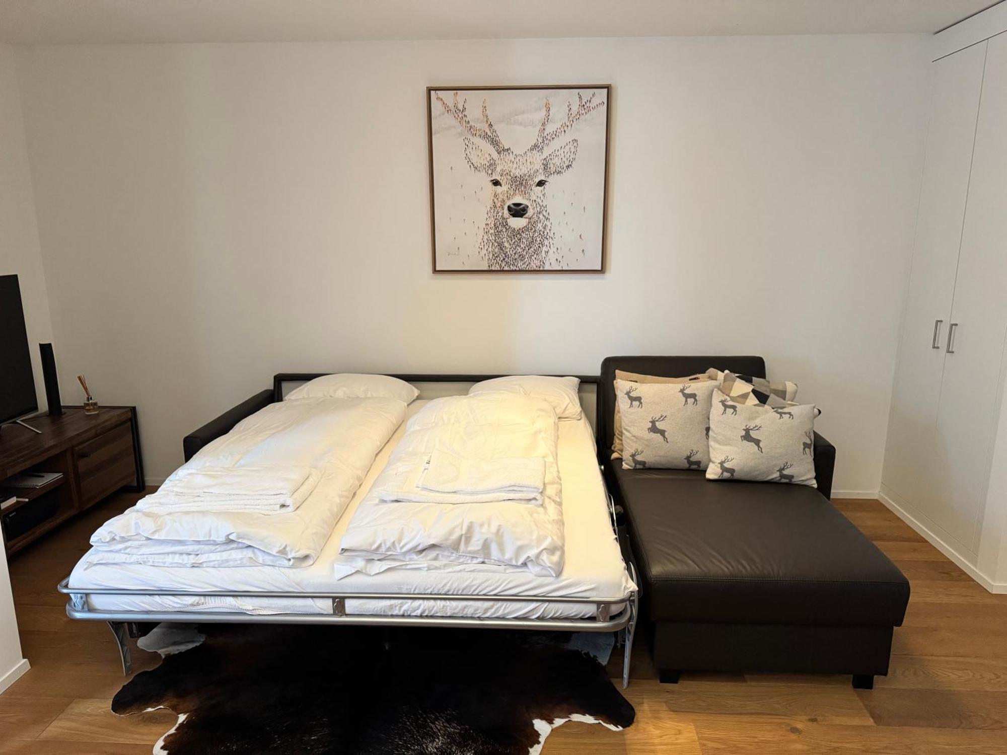 Beautiful Sunny New 1 Bed